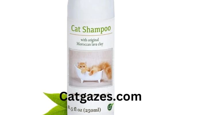 5 shampoos suitable for hairless cats