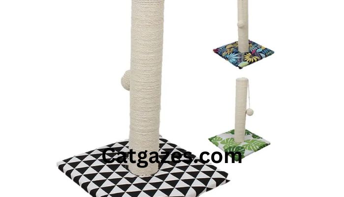 5 scratching posts for elderly Maine Coon cats