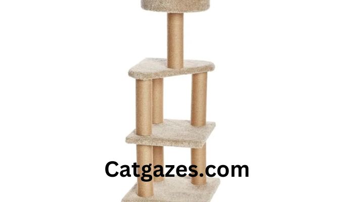 5 scratching posts for the enjoyment of the Sphynx cat